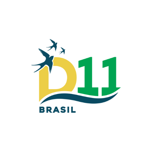 D11 Brasil